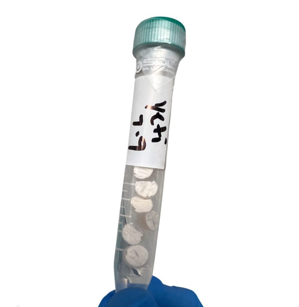 mycelium agar tube