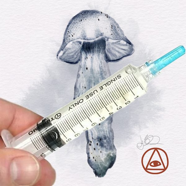 Mushroom Spore Syringe For research purposes