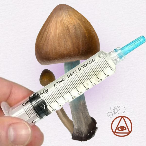 Jedi Mind Friend Mushroom Spore Syringe