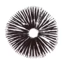 Jedi Mind Fuck Spore Print